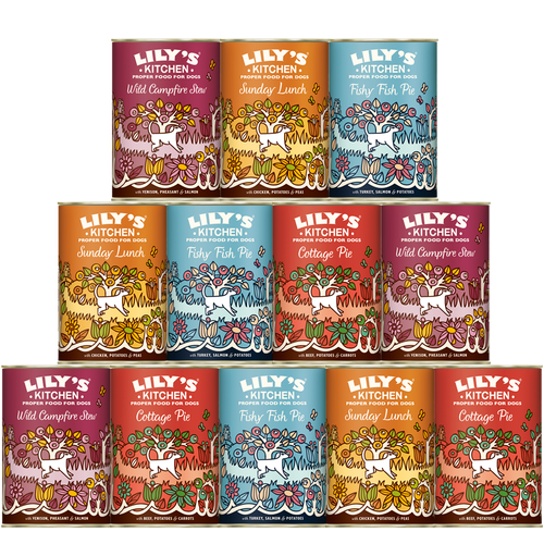 Lily's kitchen wet dog food 