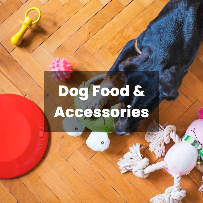 Dog Food & Accessories